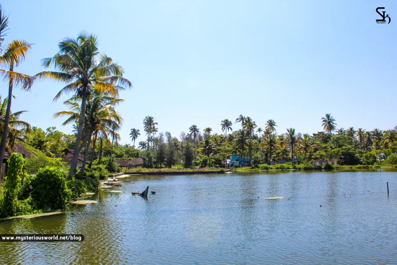 Photo of Cherai Beach By SYRIL T KURIAN