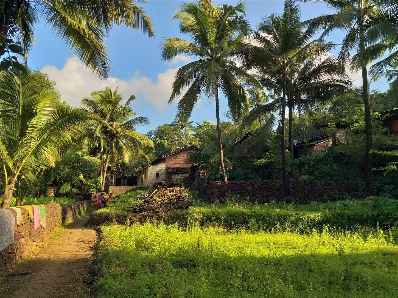 Photo of Ratnagiri By Vivek Nimbare