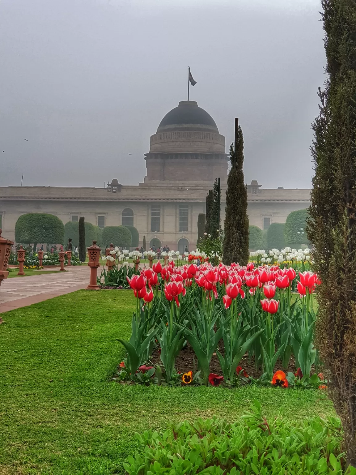 Photo of New Delhi By travellingscholars