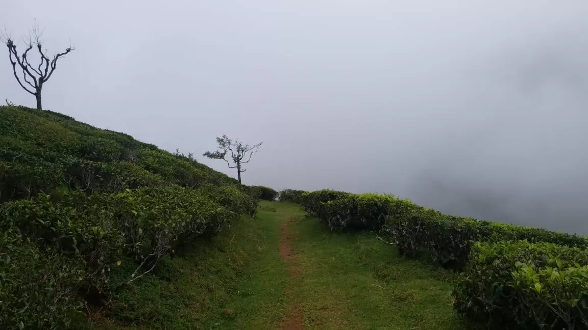 Photo of Mannarkkad - Anakkatti Rd By Sarath Skv