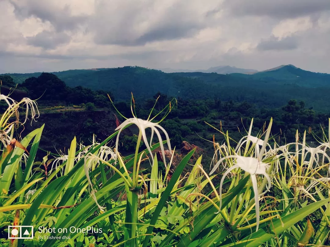 Photo of Chikmagalur By etishree dhal