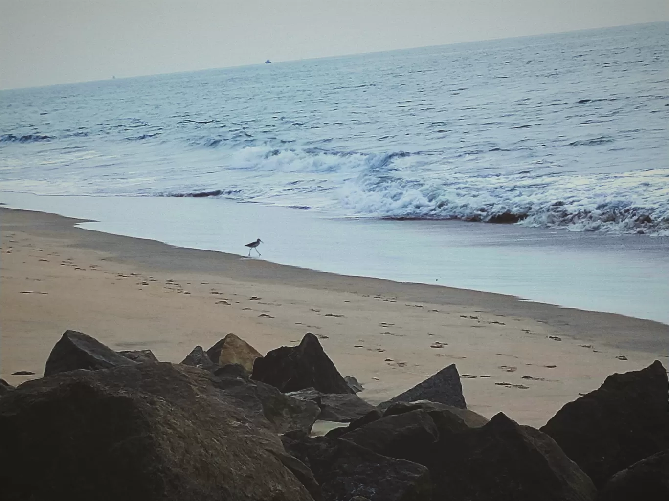 Photo of Cherai Beach By Zei_Eb