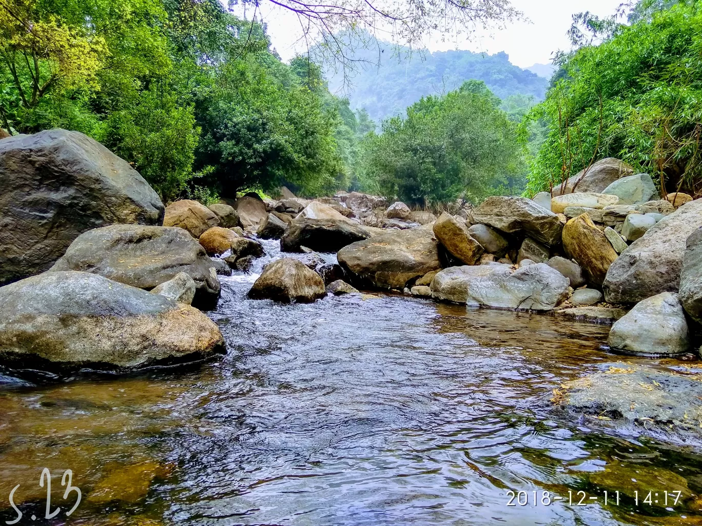 Photo of Thusharagiri Waterfalls By Soma Sekhar Bolla