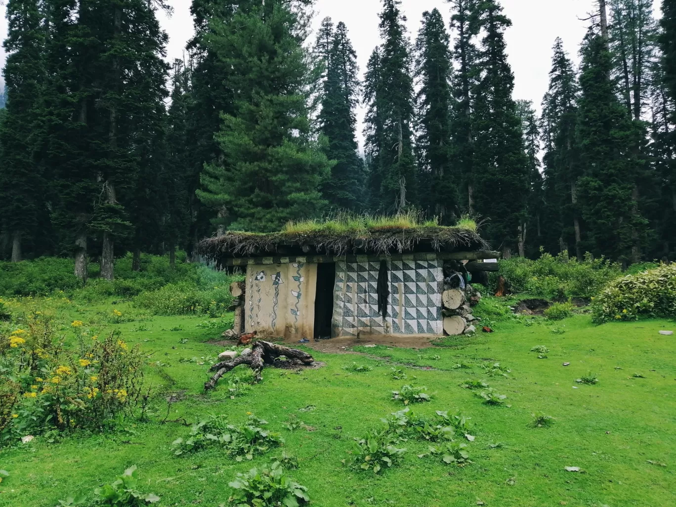 Photo of Shopian Woods By Muzafar Riyaz