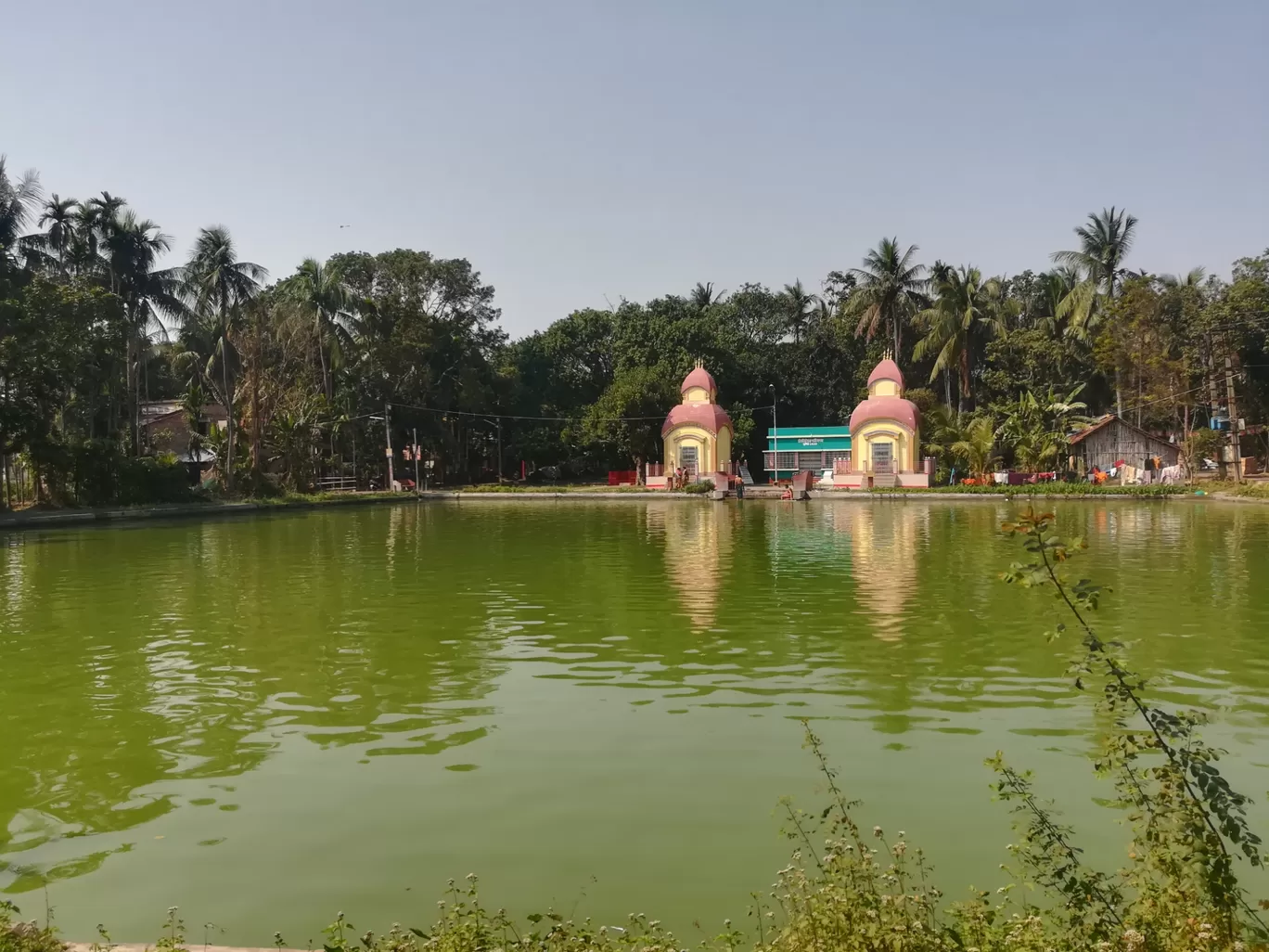 Photo of Taki By Lopamudra Barman