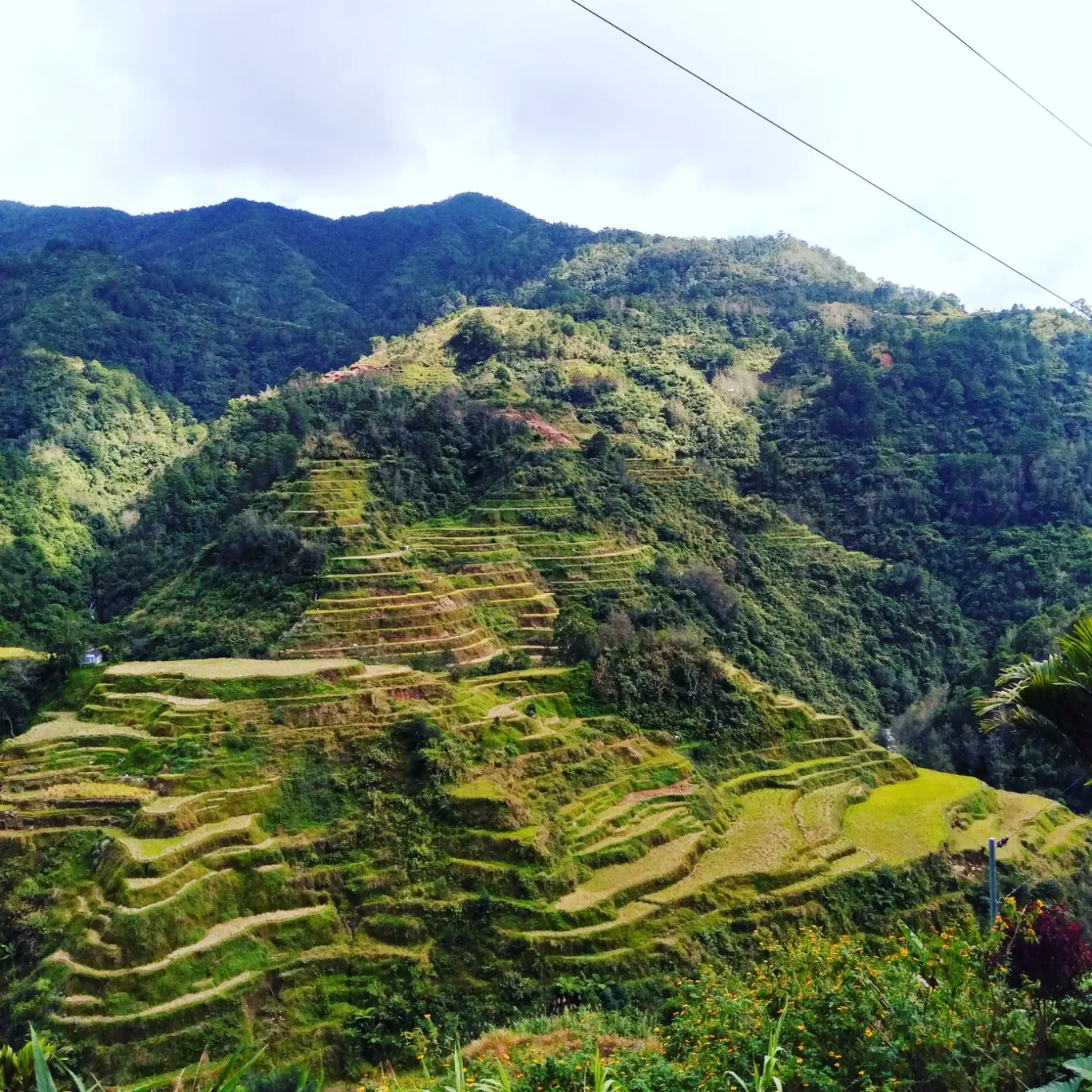 Photo of Banaue Rice Terraces Main Viewpoint By Jed Medrano