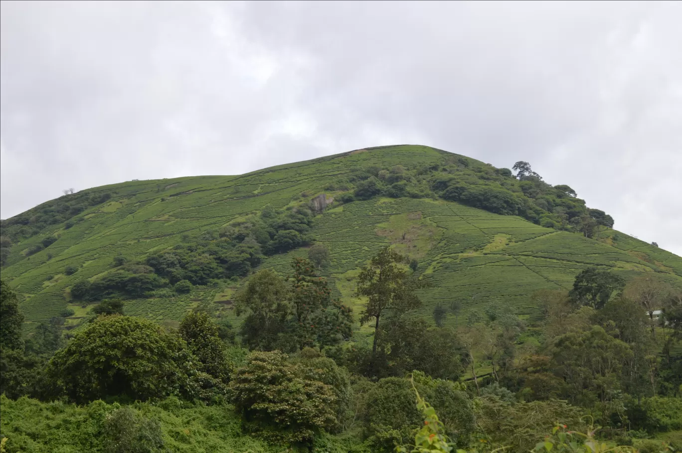 Photo of Parunthumpara Hill View Point By Siju Sebastian