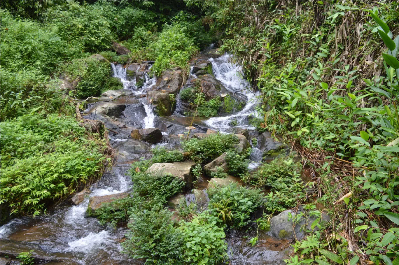 Photo of Parunthumpara Hill View Point By Siju Sebastian