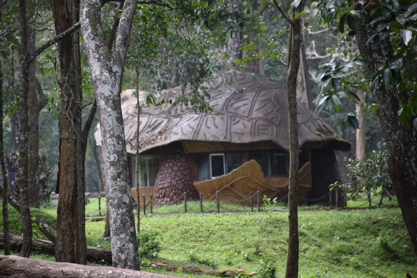 Photo of Thekkady By Siju Sebastian