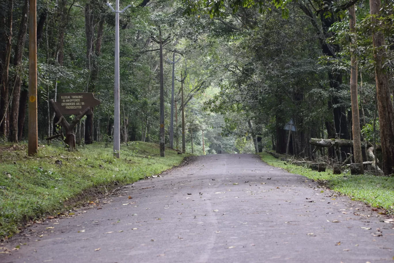 Photo of Thekkady By Siju Sebastian