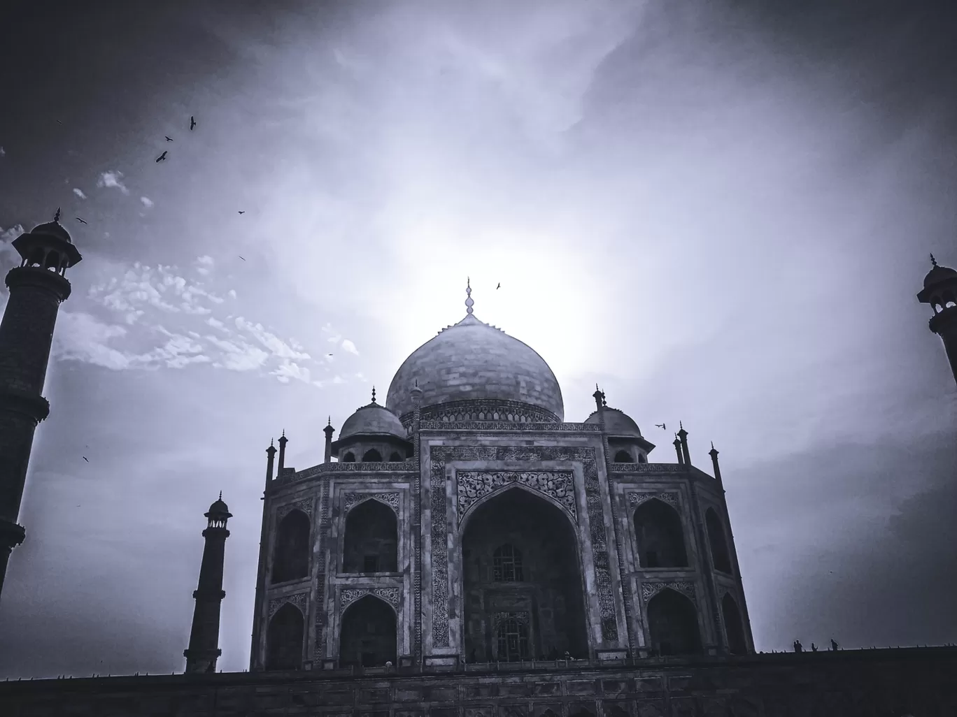 Photo of Pocket D By Rohan Paul