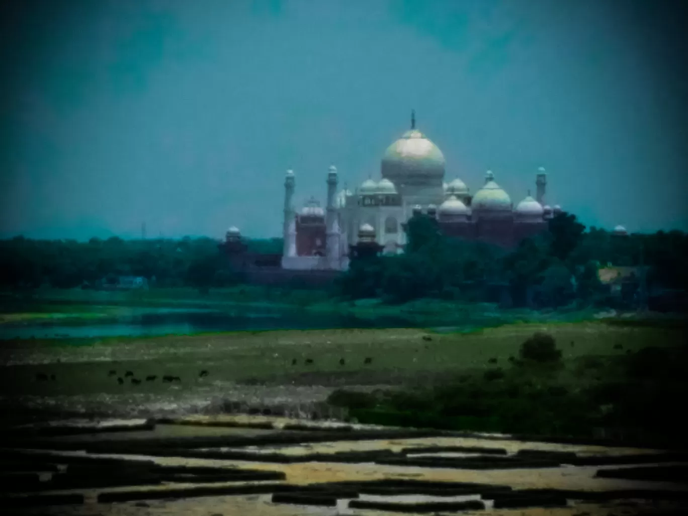 Photo of Pocket D By Rohan Paul