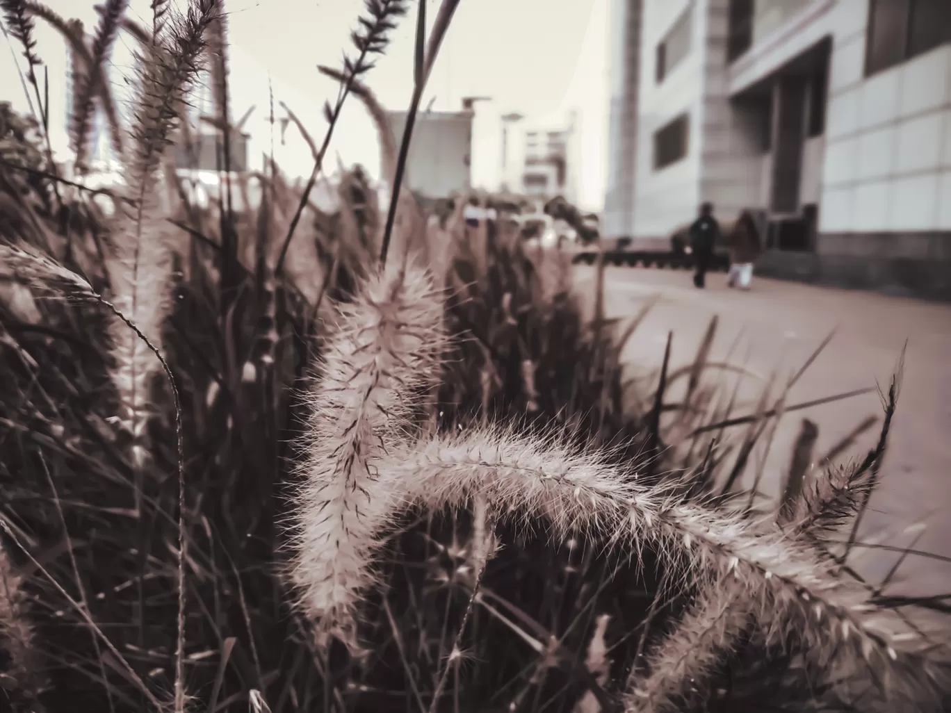 Photo of Pocket D By Rohan Paul
