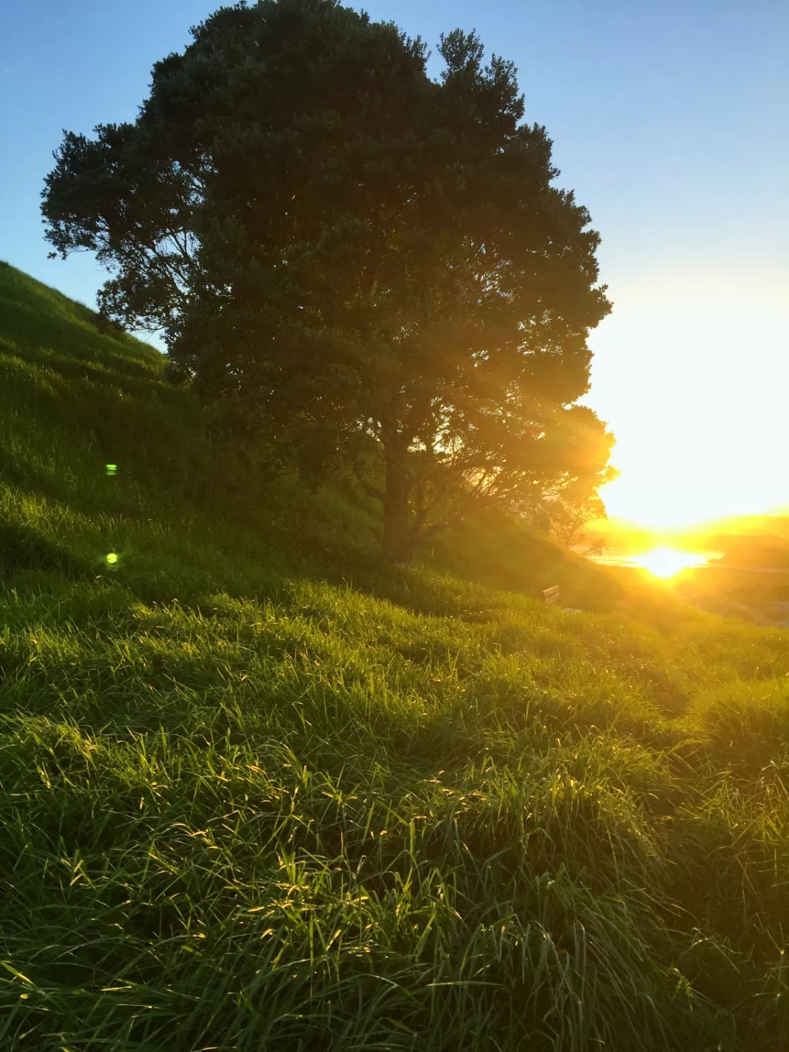 Photo of New Zealand By kalaivani kannaiyan