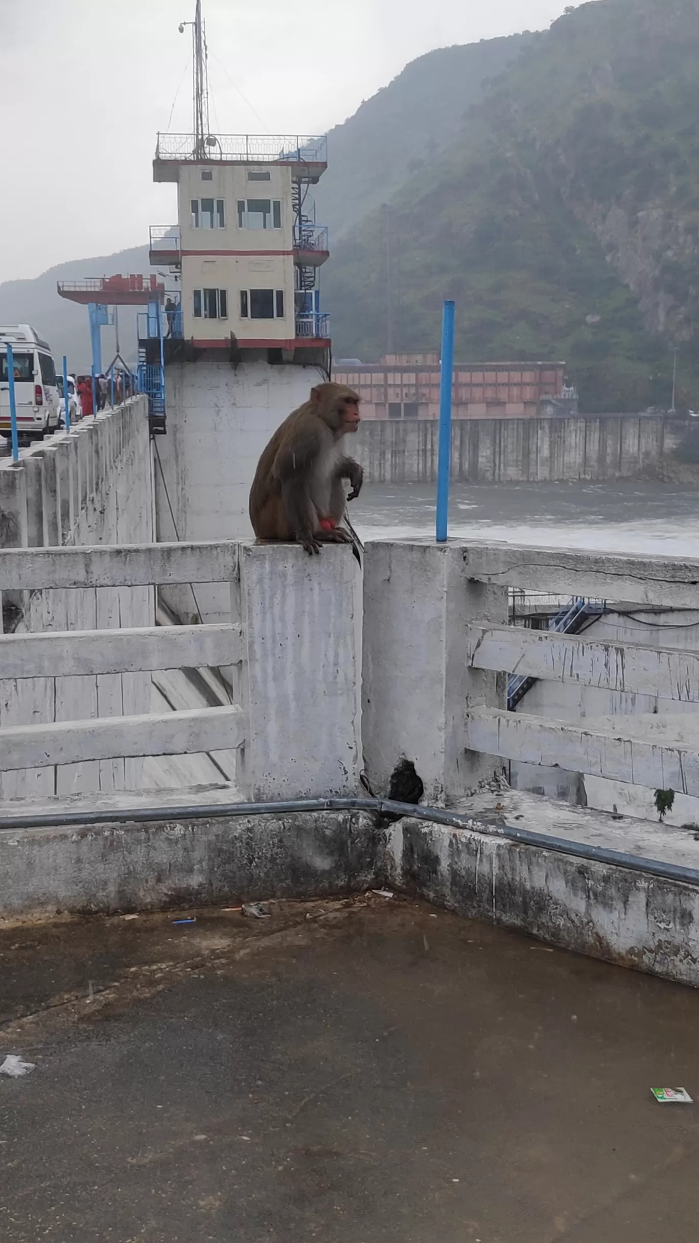 Photo of Bisalpur Dam By Shubham Saini