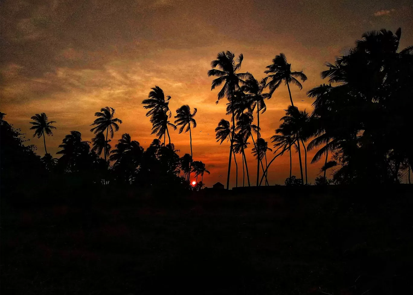 Photo of Sindhudurg Fort By sharayu kavitkar