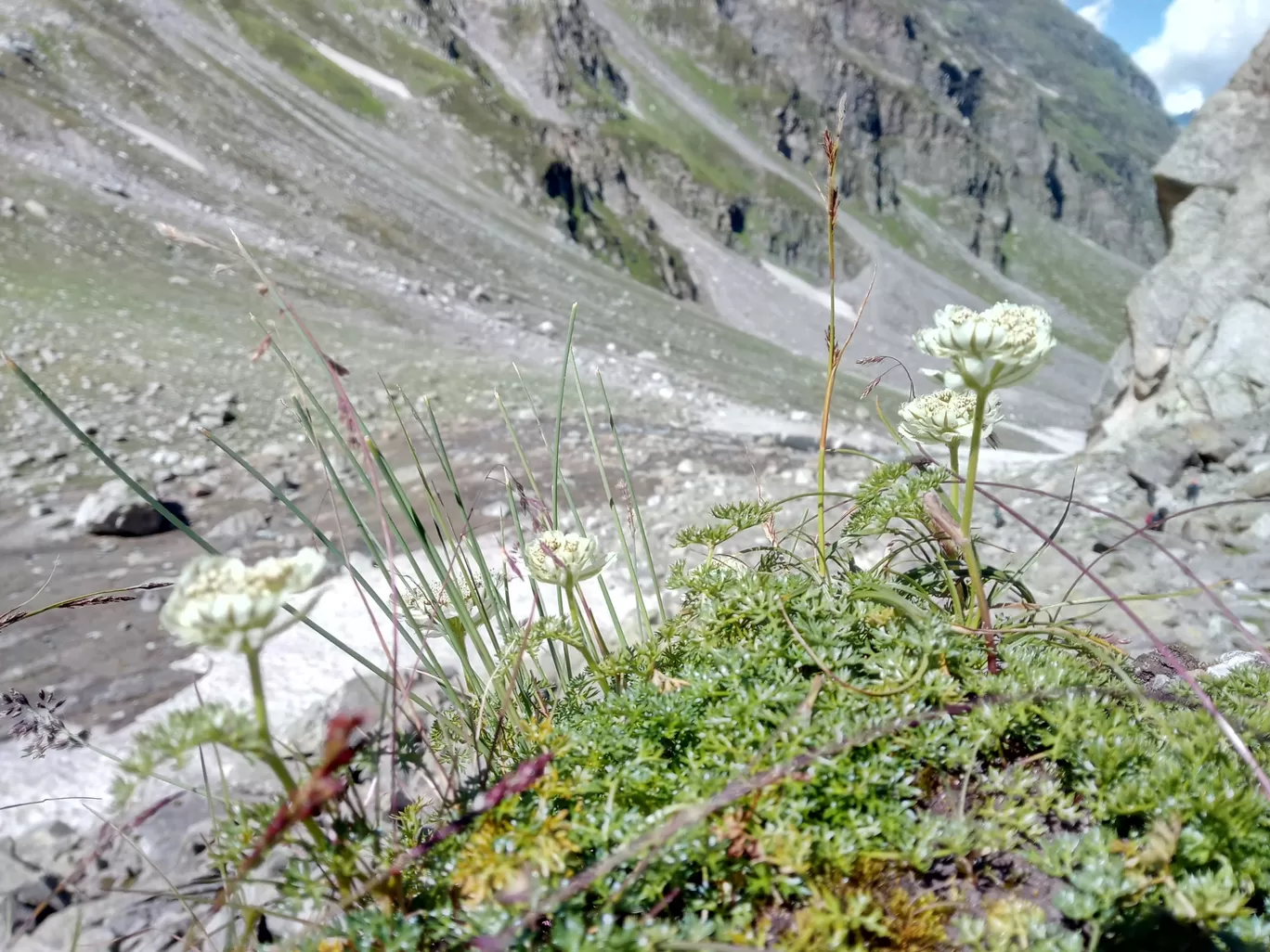 Photo of Hampta By Bhopey thakur