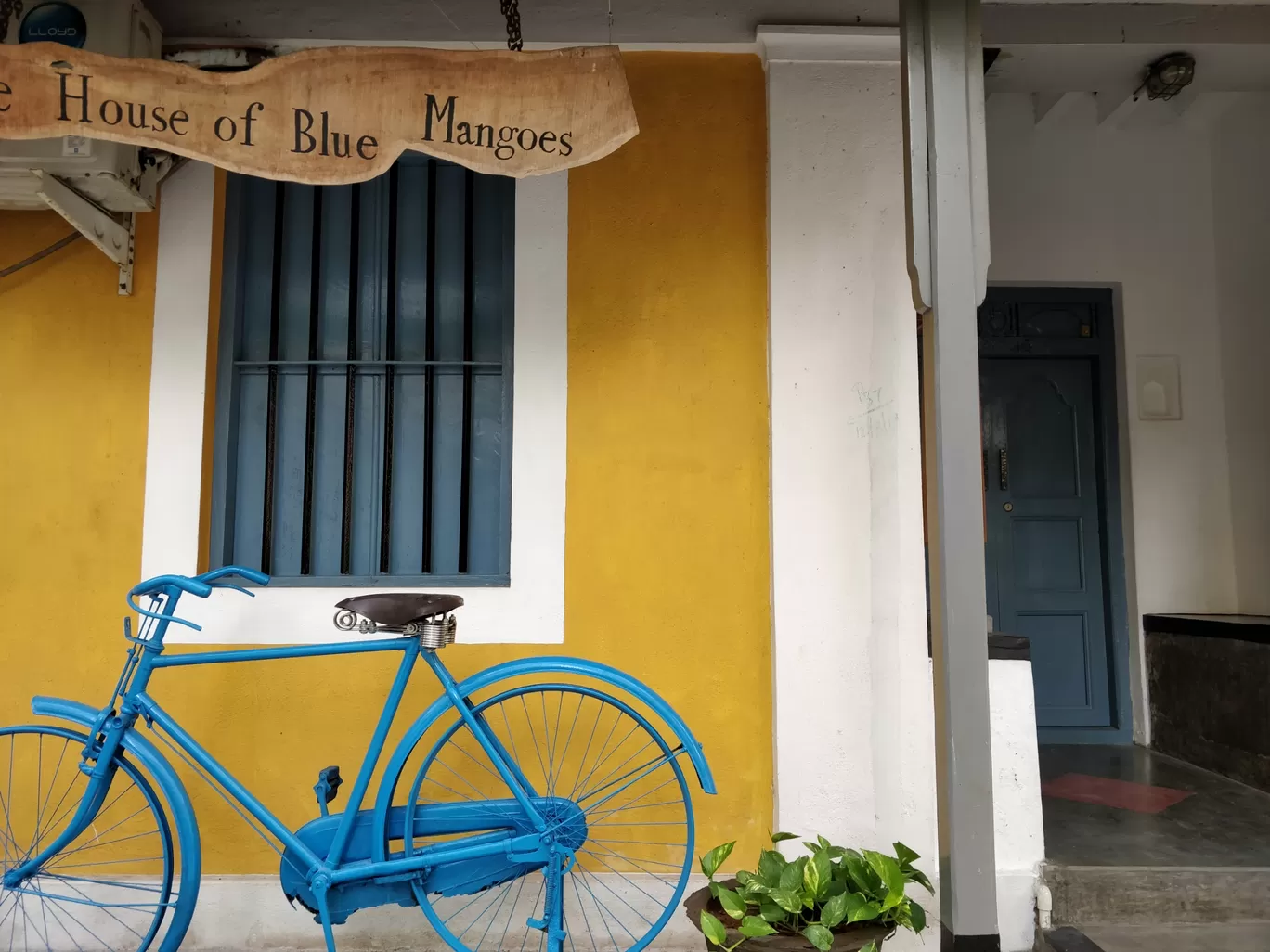 Photo of The House of Blue Mangoes By vijay kalidas