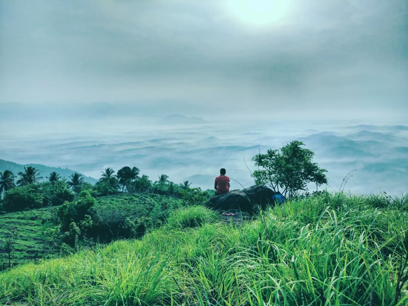 Photo of kodikuthimala View Point By Rinjil Wdr