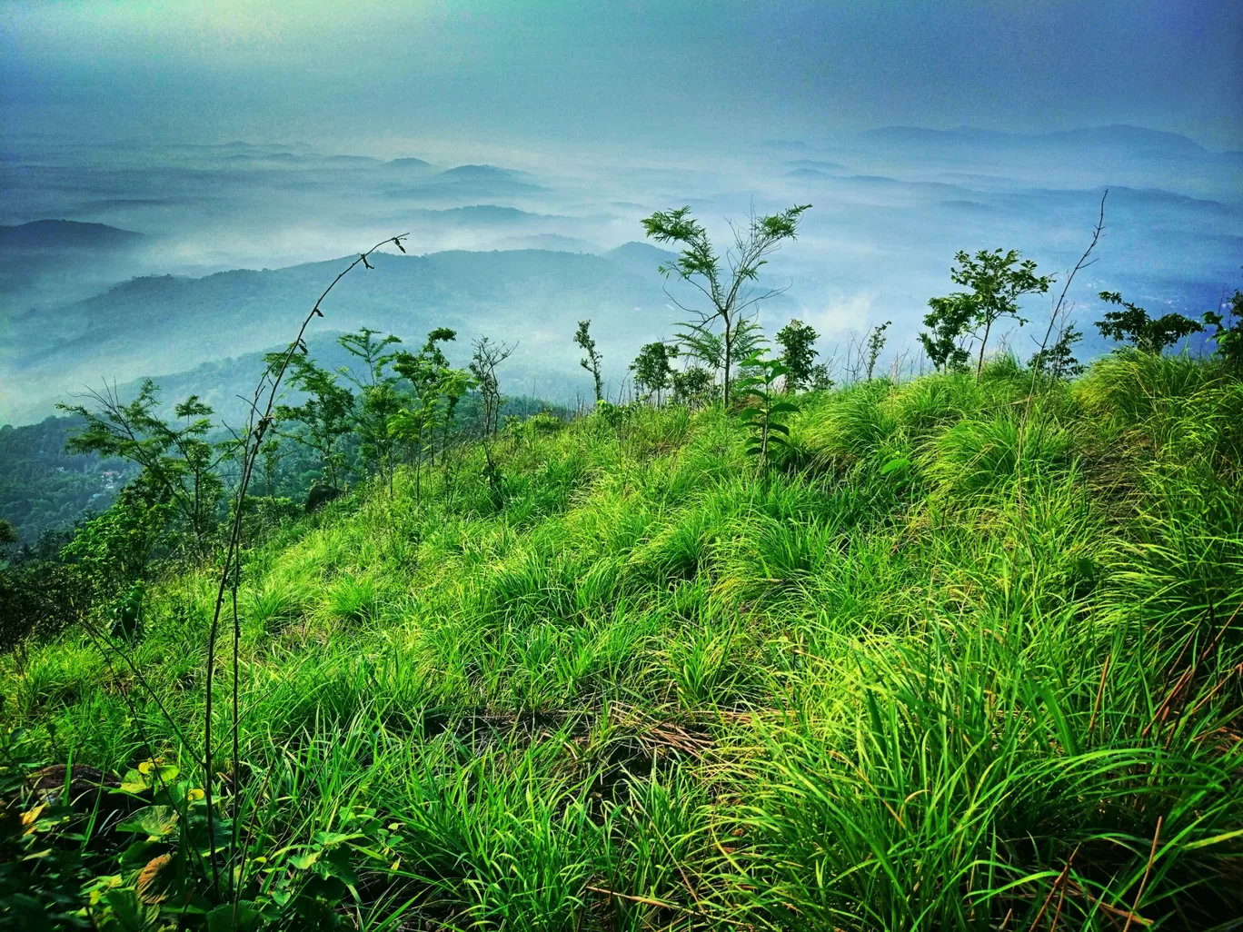 Photo of kodikuthimala View Point By Rinjil Wdr