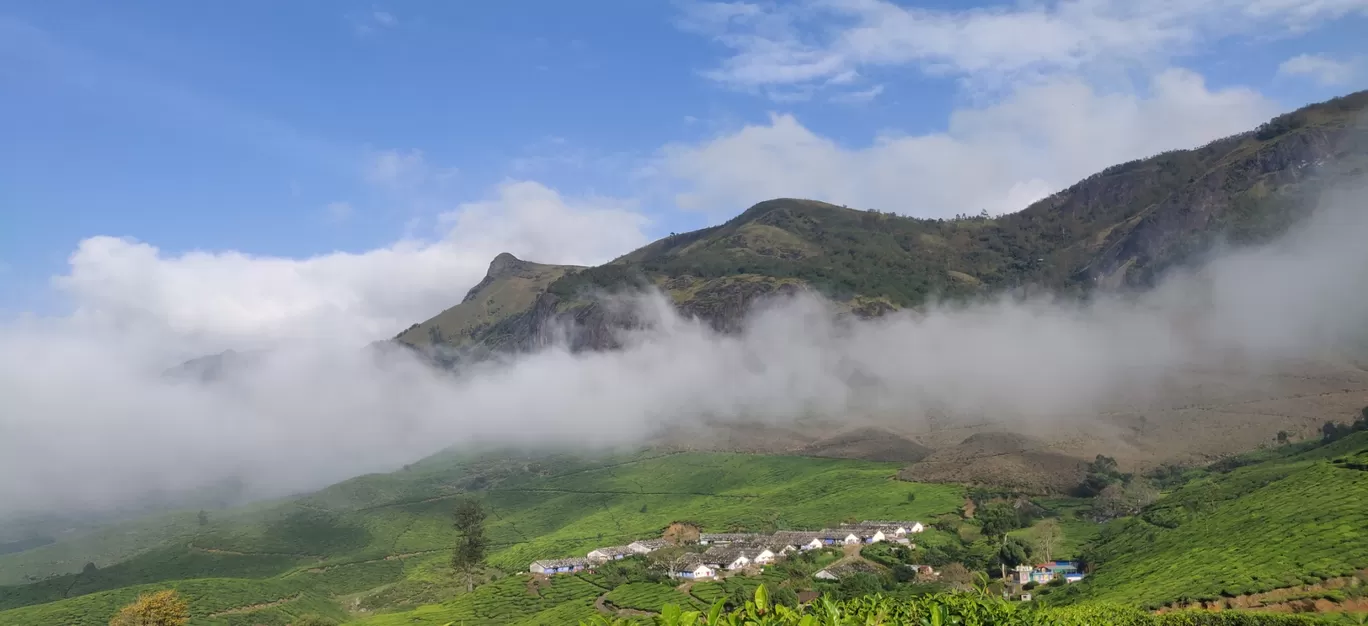 Photo of Kolukkumalai tiger face rock By athul