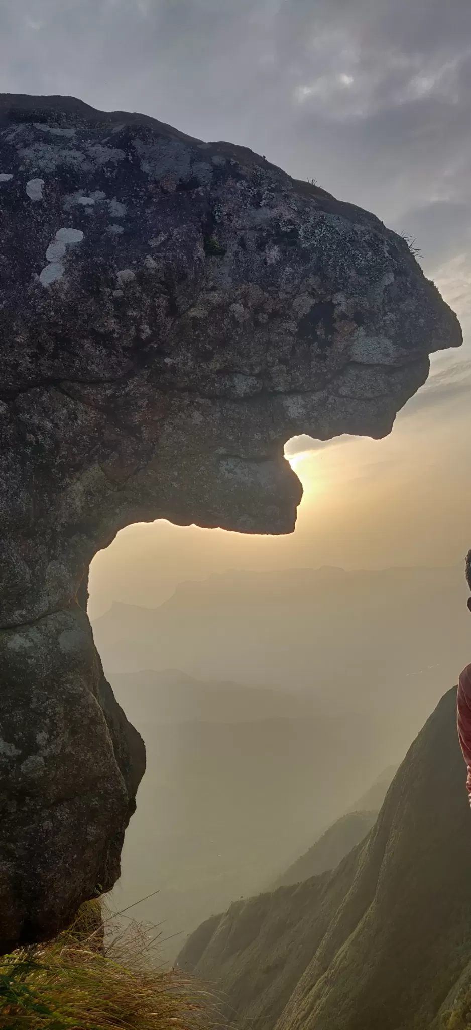 Photo of Kolukkumalai tiger face rock By athul