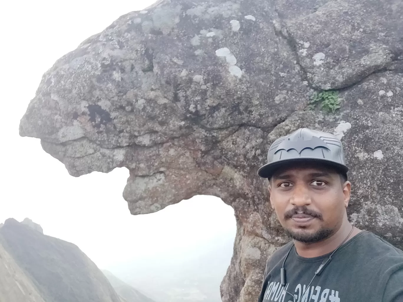 Photo of Kolukkumalai tiger face rock By athul