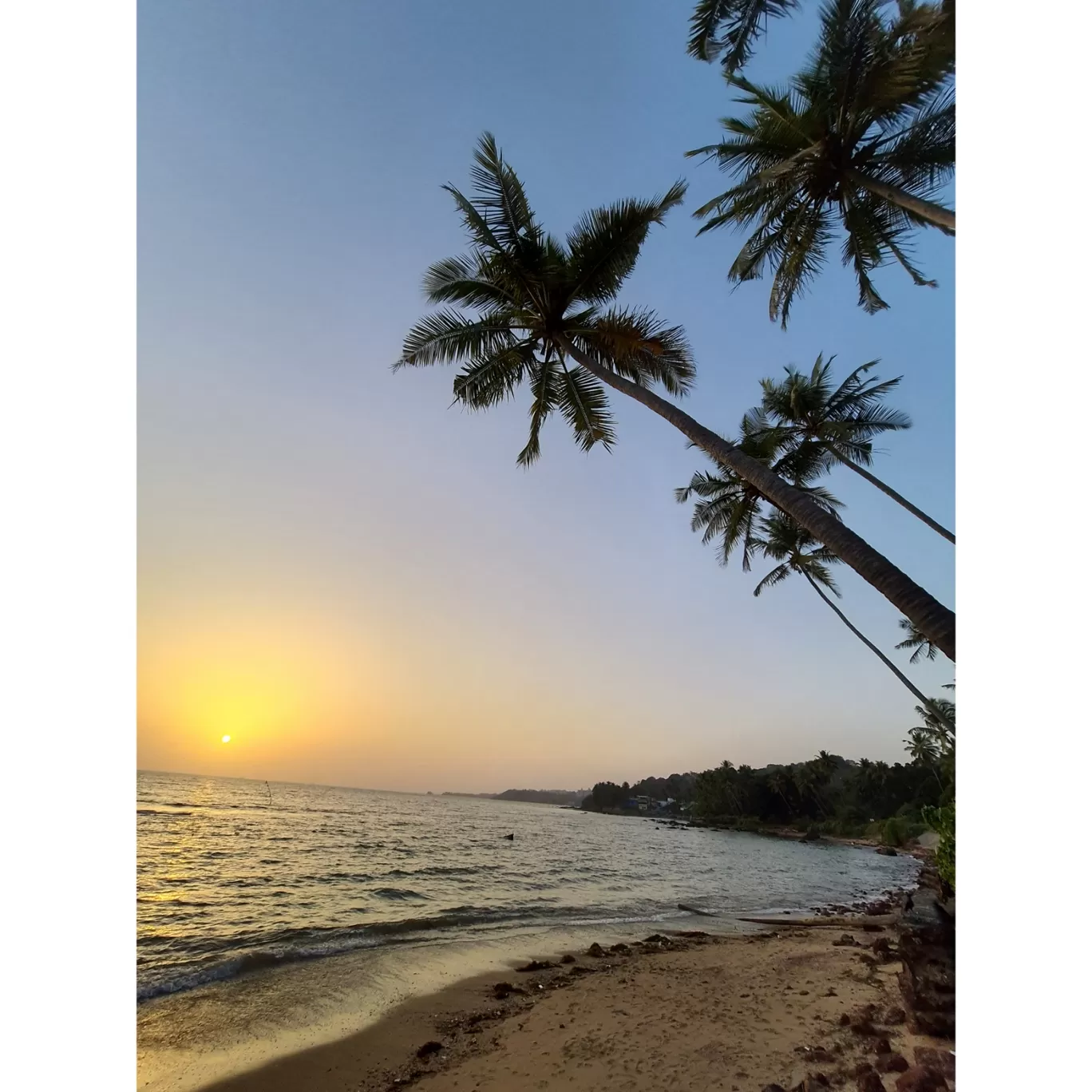Photo of Uddo Beach By tanvi manerikar