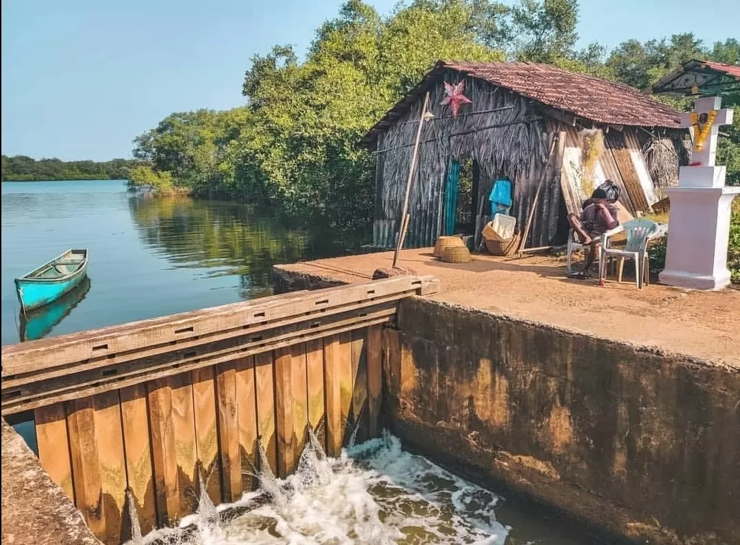 Photo of Divar Island By tanvi manerikar