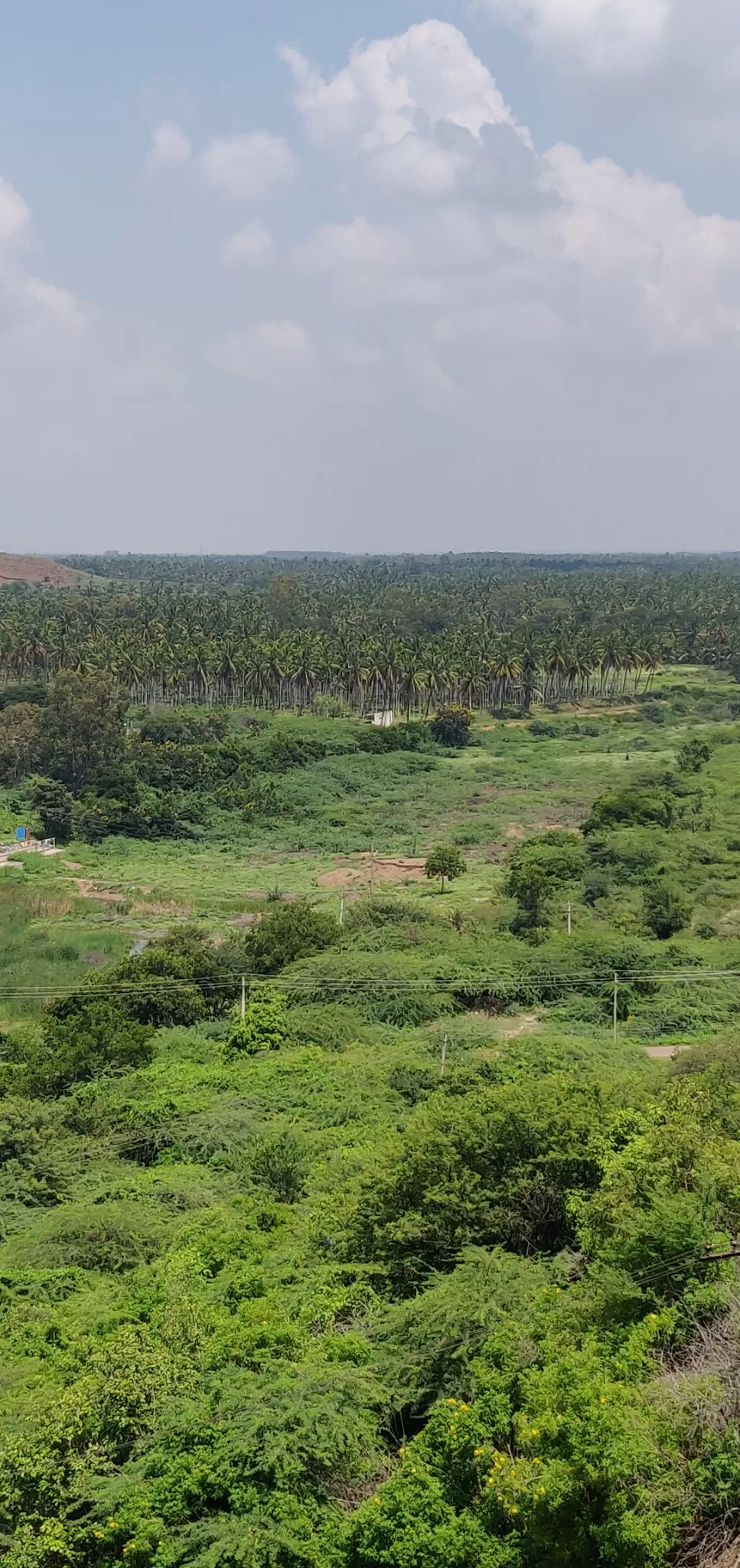 Photo of Vani Vilasapura Dam By Chaman Prabhat