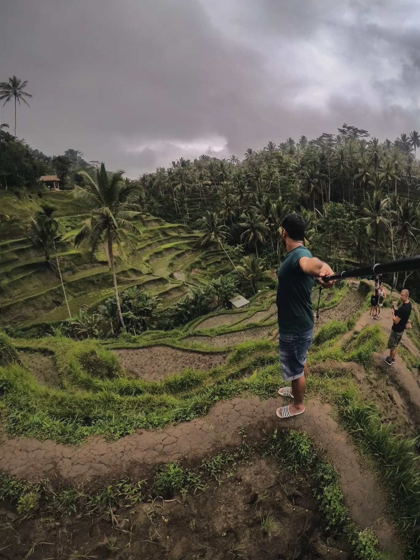 Photo of Tegallalang Rice Terrace By Akash Agarwal