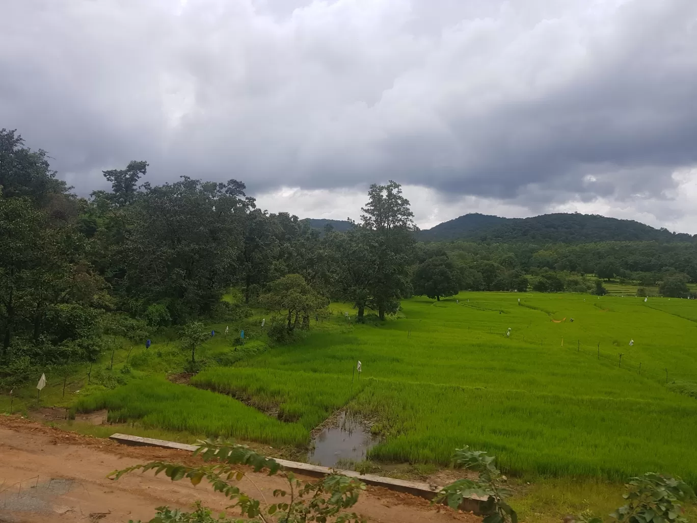 Photo of Bangalore By Kartikeya Madnani