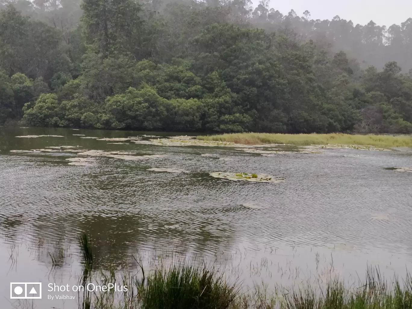 Photo of Kodaikanal By Vaibhav Tiwari