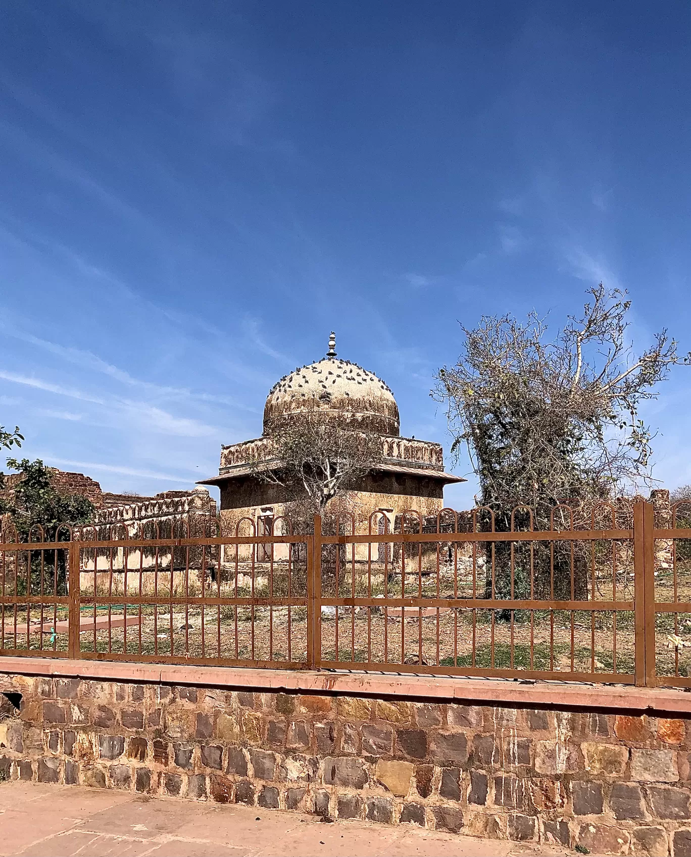 Photo of Ranthambore National Park By @_bagwatiii_ by Muskaan Jain