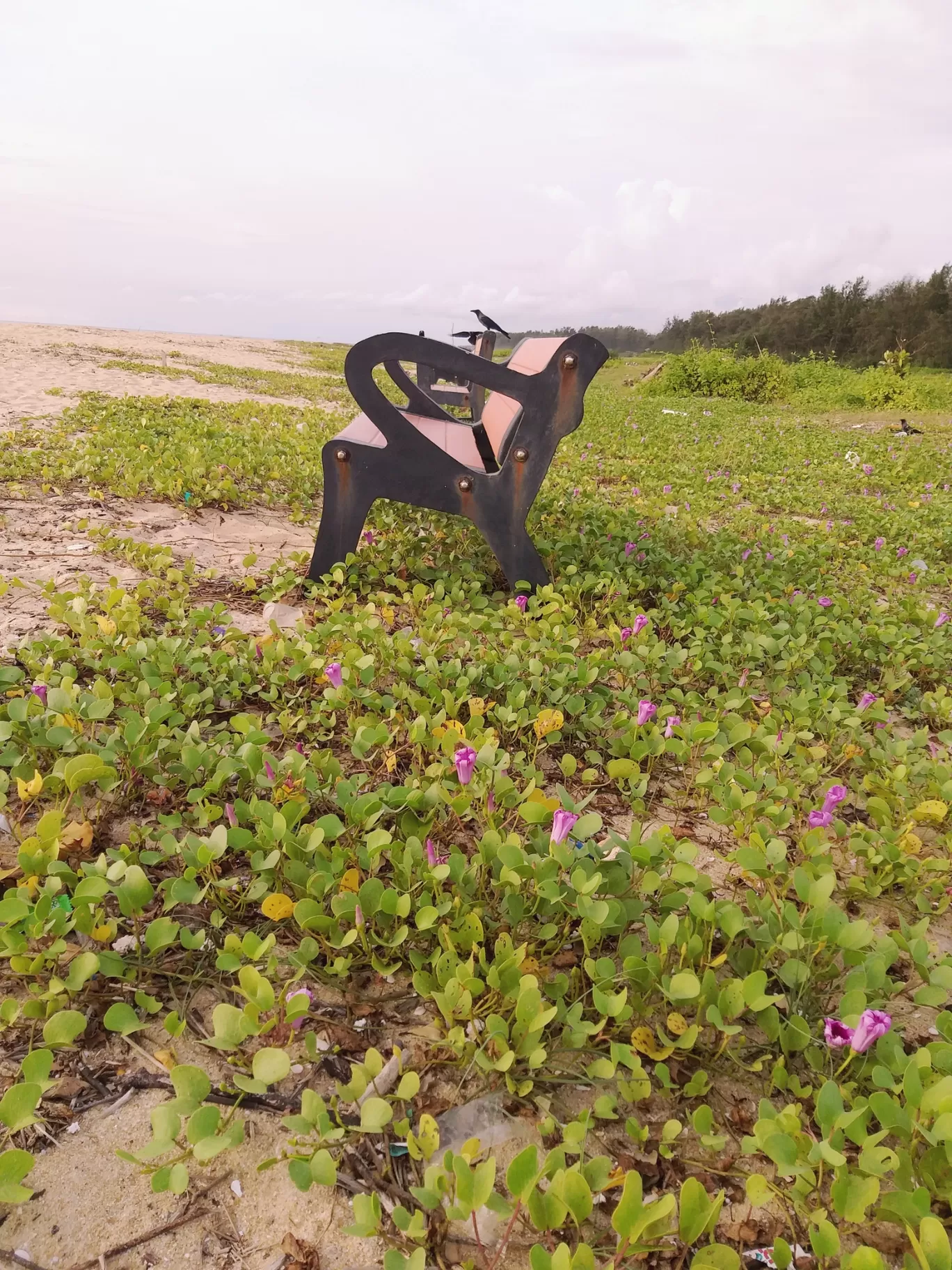 Photo of Tannirubavi TREE PARK By Shwetha Kunder...