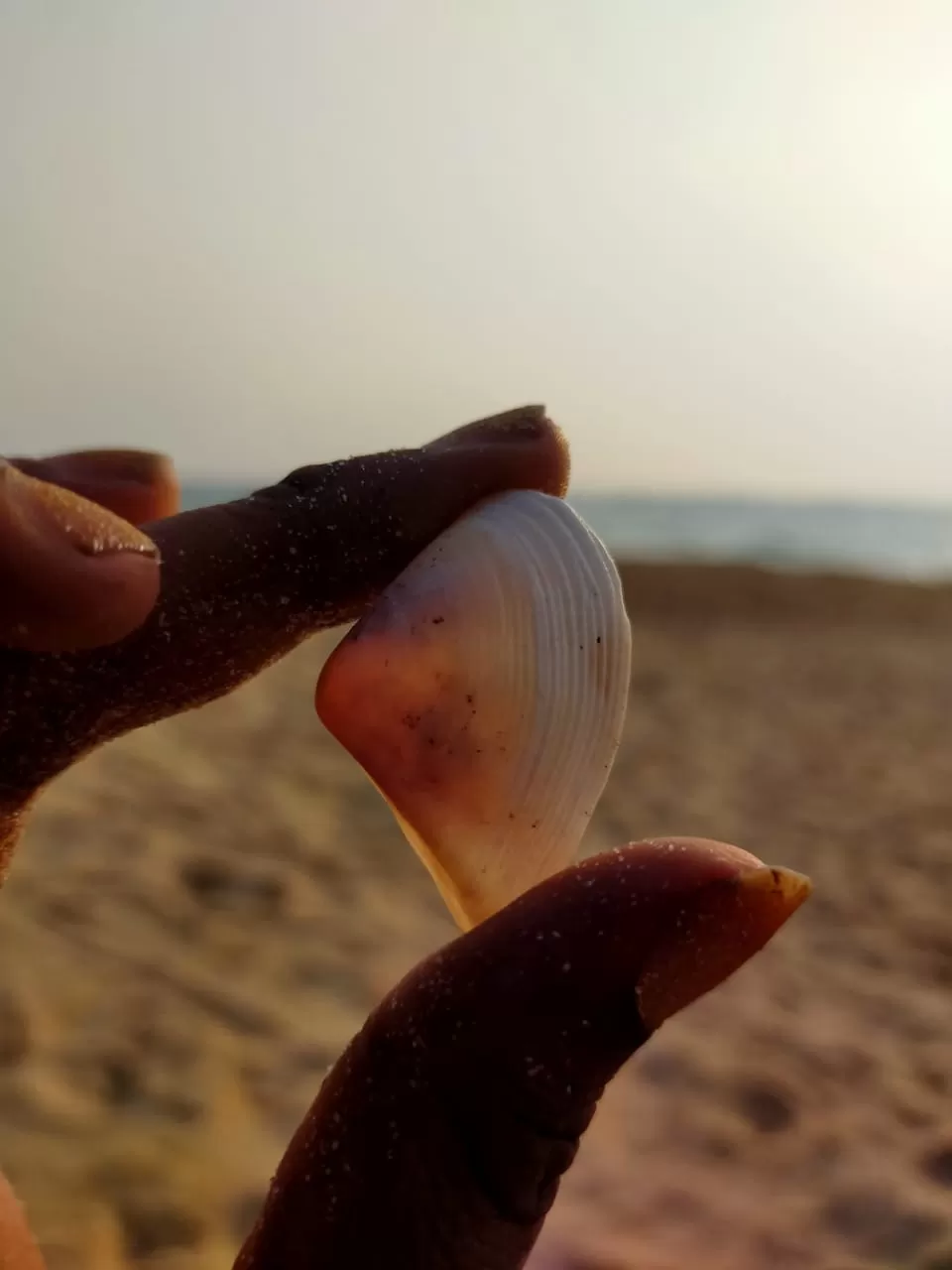 Photo of Mattu Beach By Shwetha Kunder...