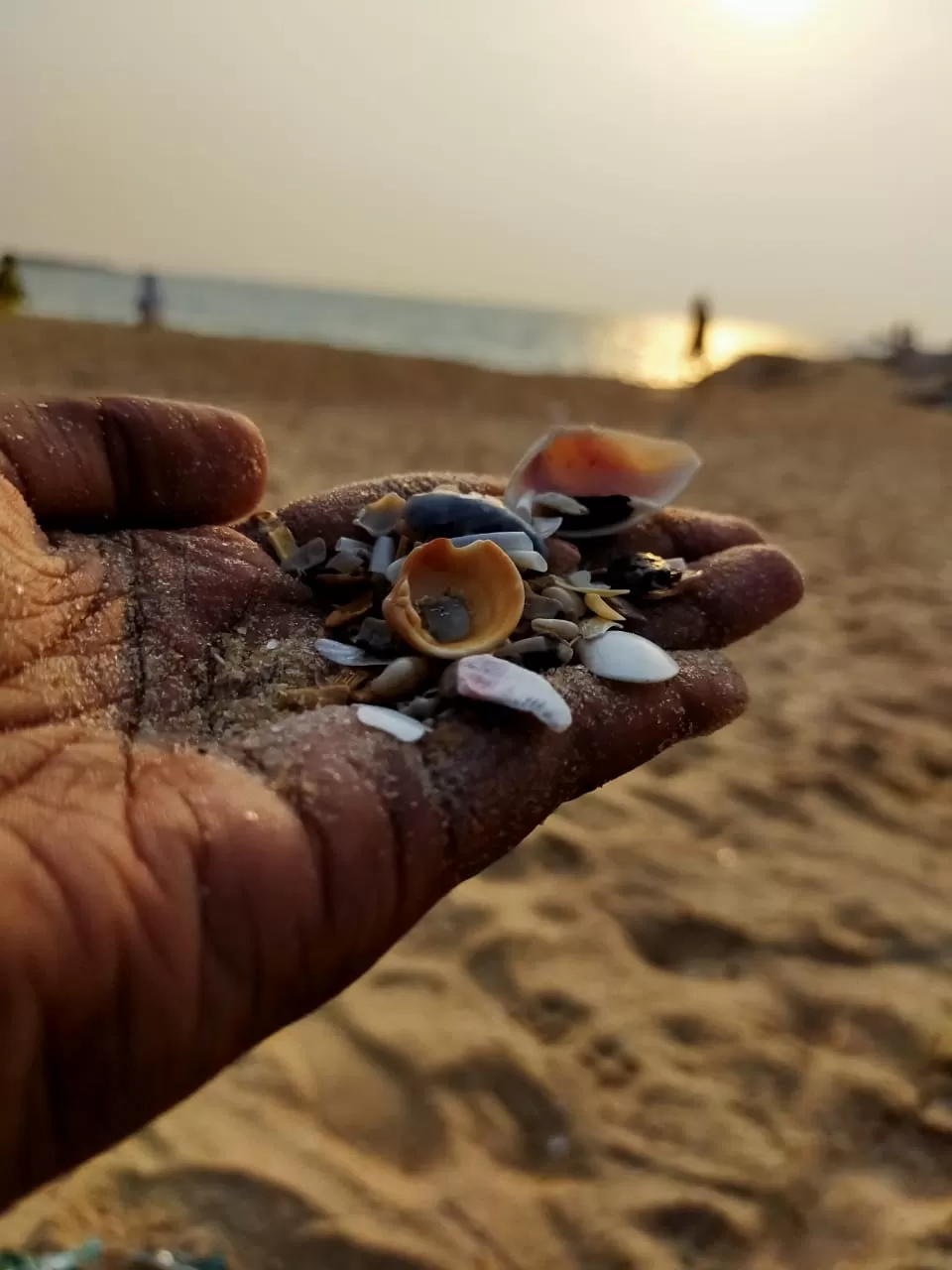 Photo of Mattu Beach By Shwetha Kunder...