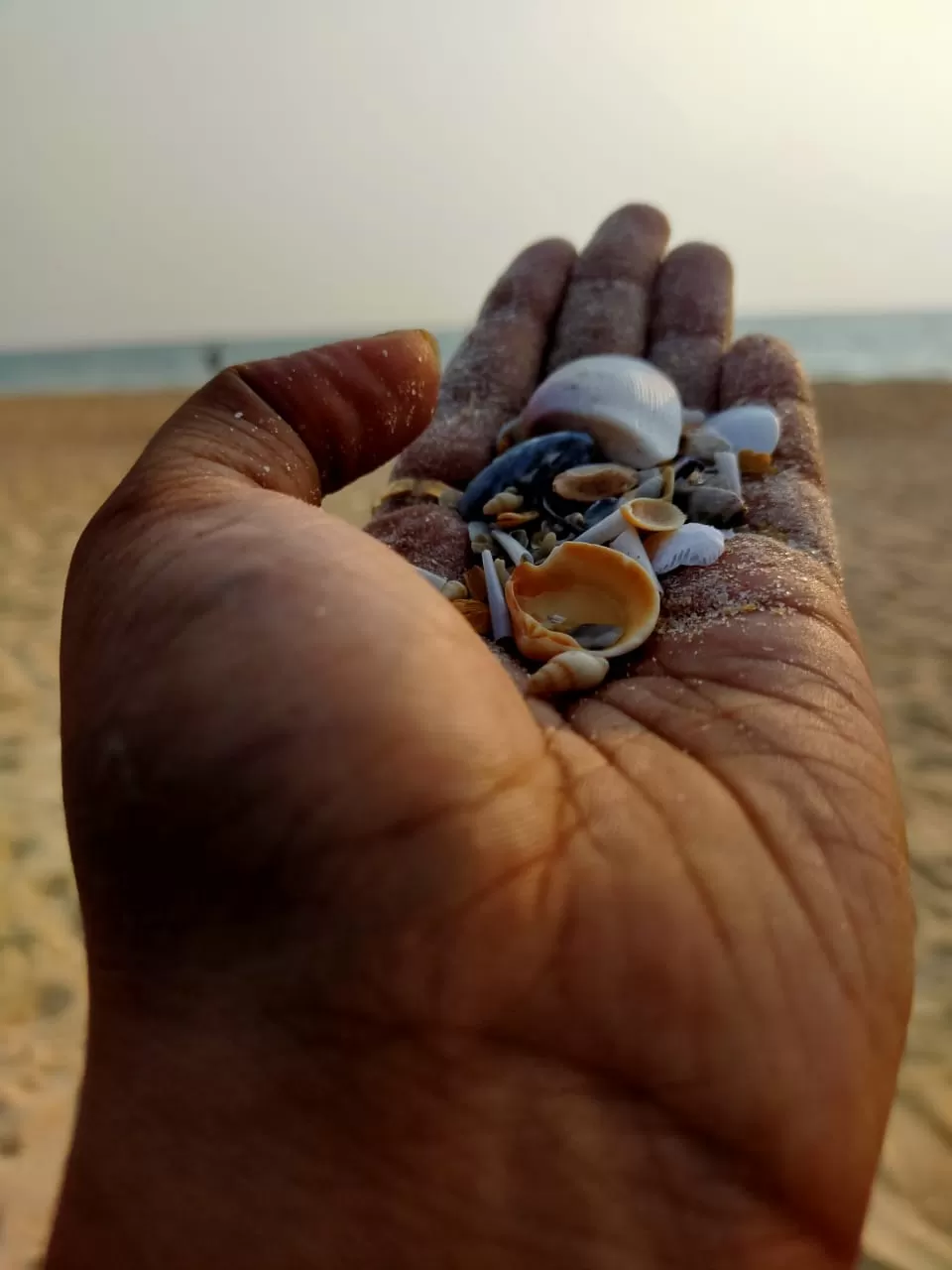 Photo of Mattu Beach By Shwetha Kunder...