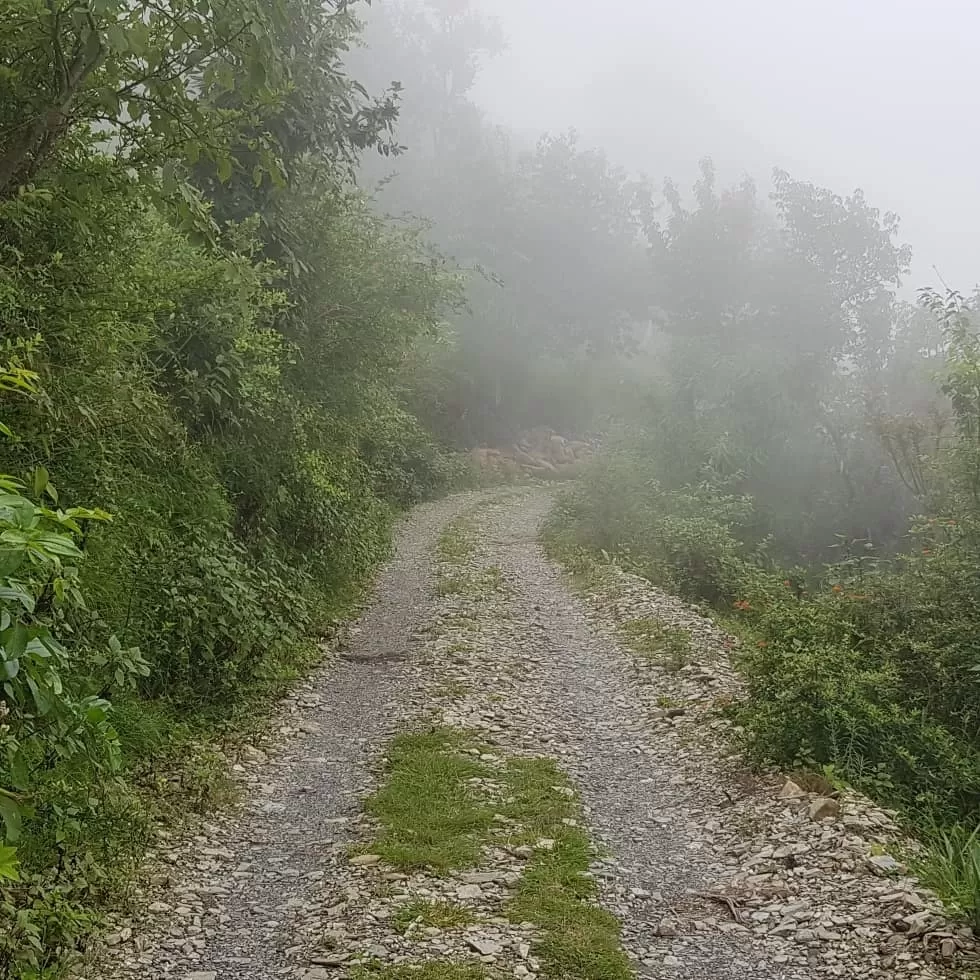Photo of Pangot By Ashish Chauhan