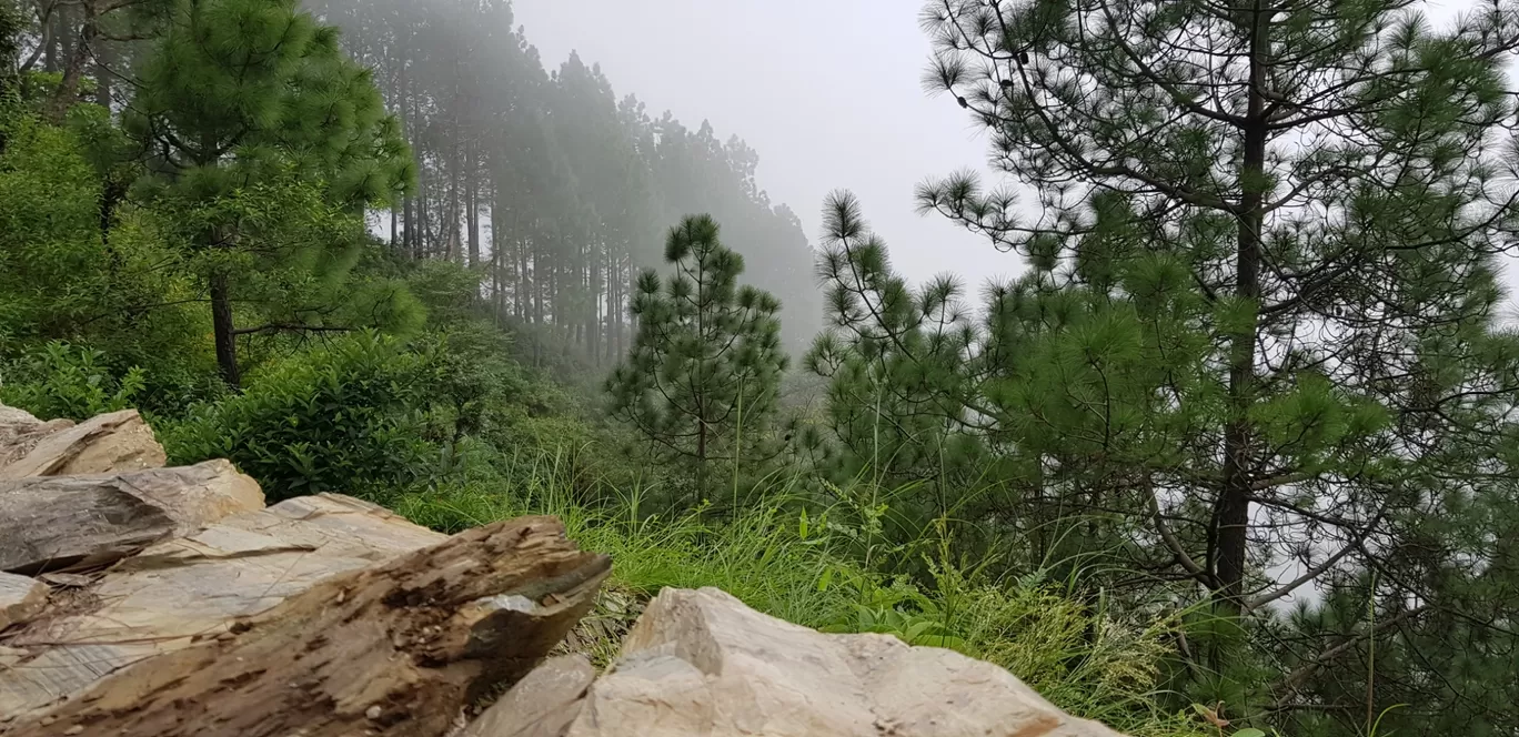 Photo of Pangot By Ashish Chauhan