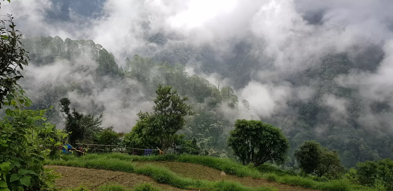 Photo of Pangot By Ashish Chauhan