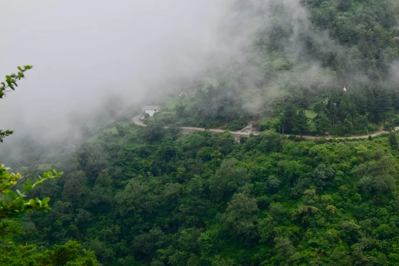 Photo of Pangot By Ashish Chauhan
