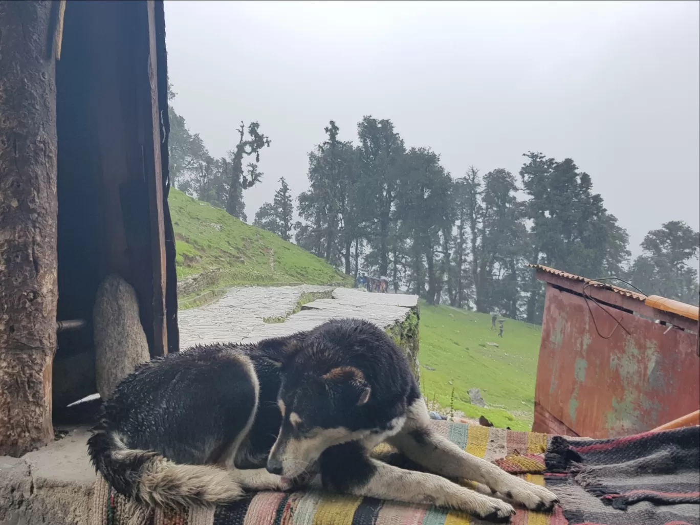 Photo of Tungnath By Ashish Chauhan