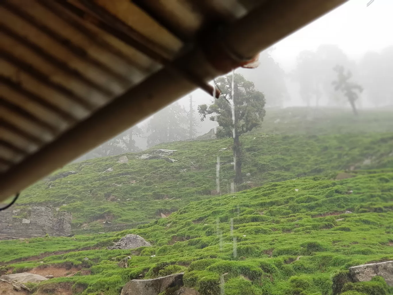 Photo of Tungnath By Ashish Chauhan