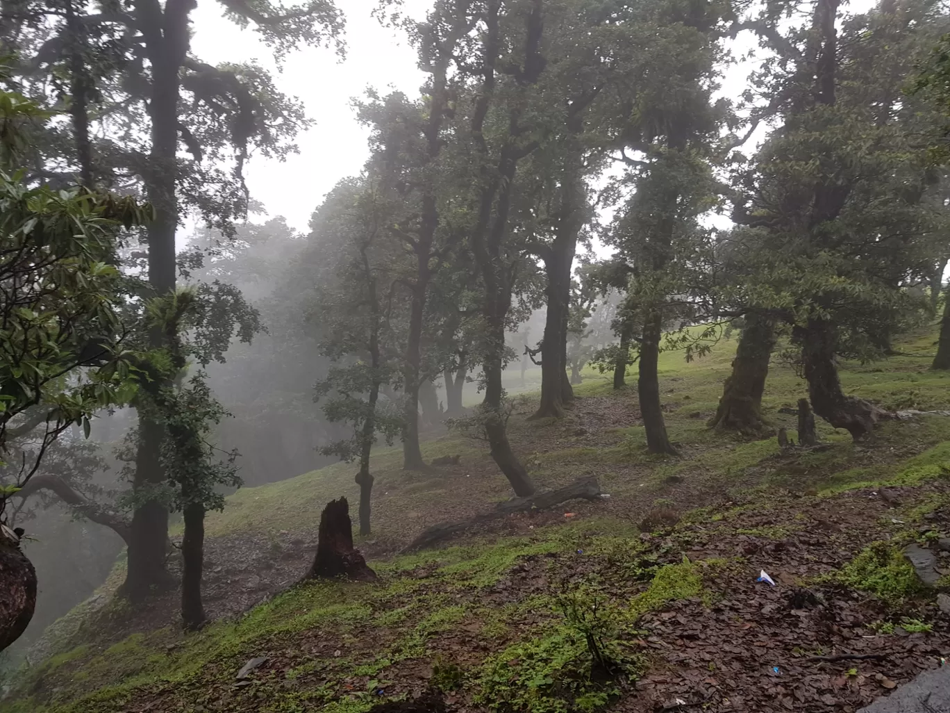 Photo of Tungnath By Ashish Chauhan