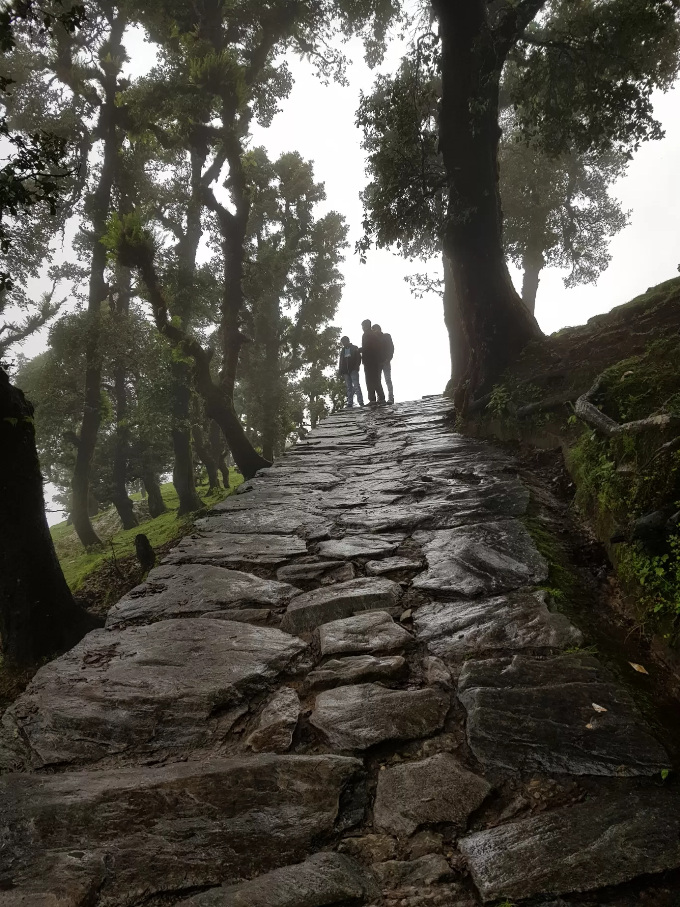 Photo of Tungnath By Ashish Chauhan