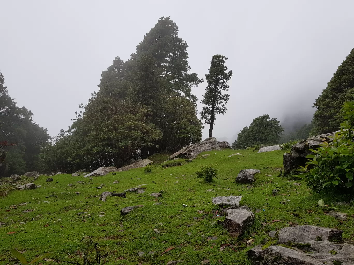 Photo of Tungnath By Ashish Chauhan