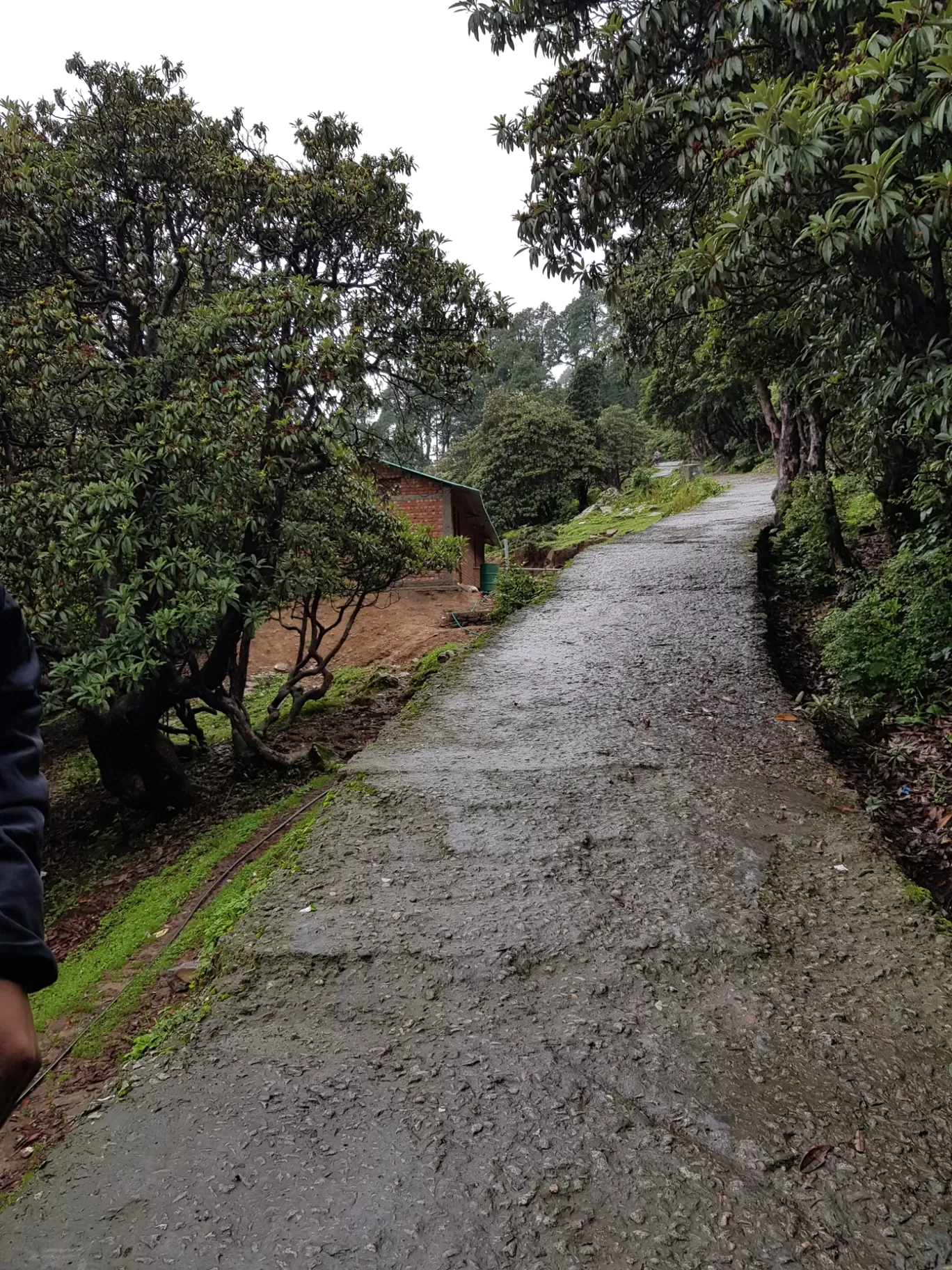 Photo of Tungnath By Ashish Chauhan