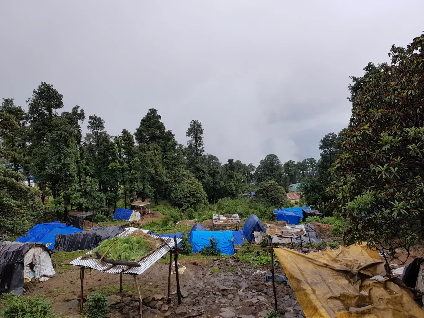 Photo of Tungnath By Ashish Chauhan