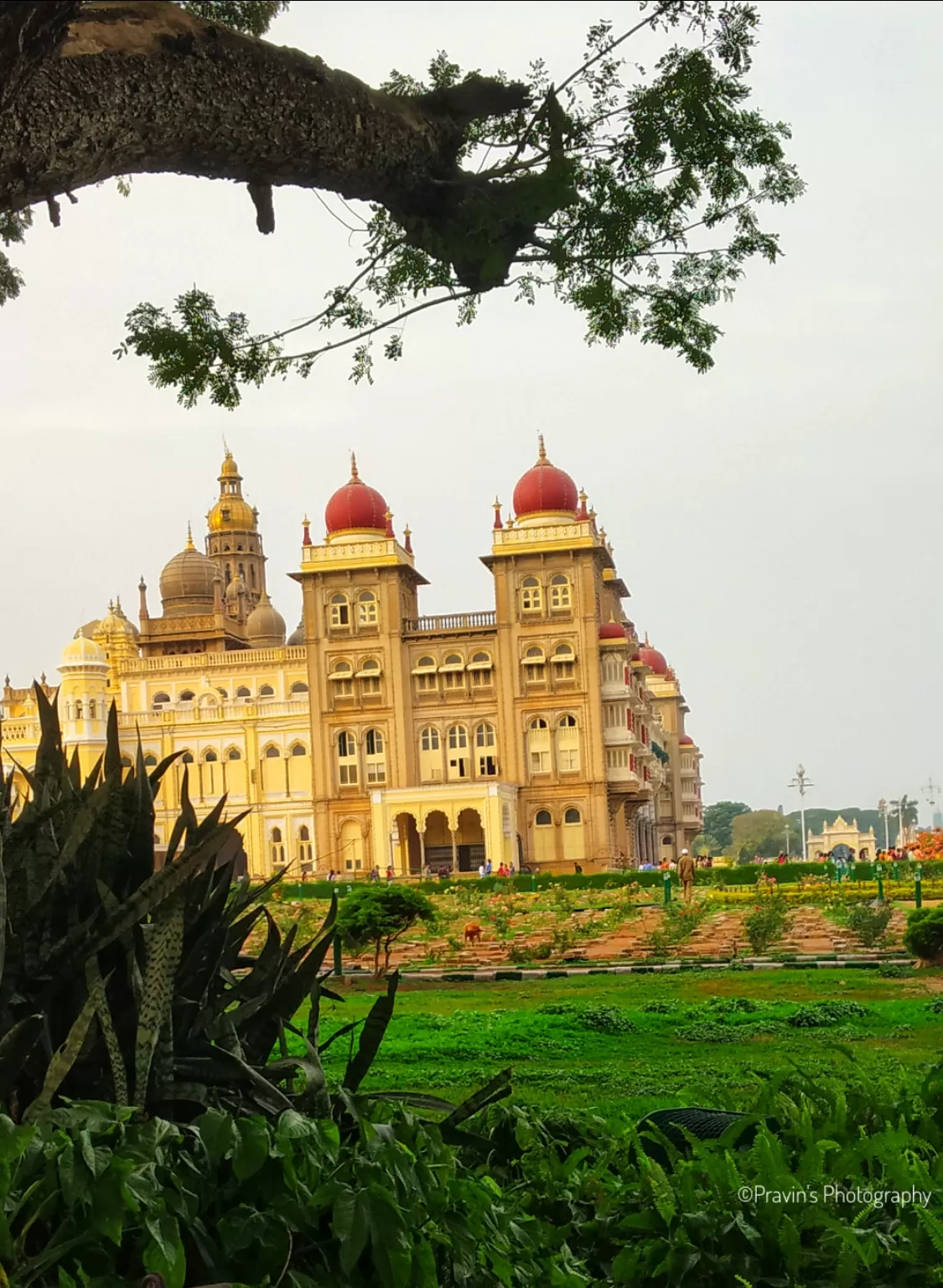 Photo of Mysore Palace By Pravin Bhirad